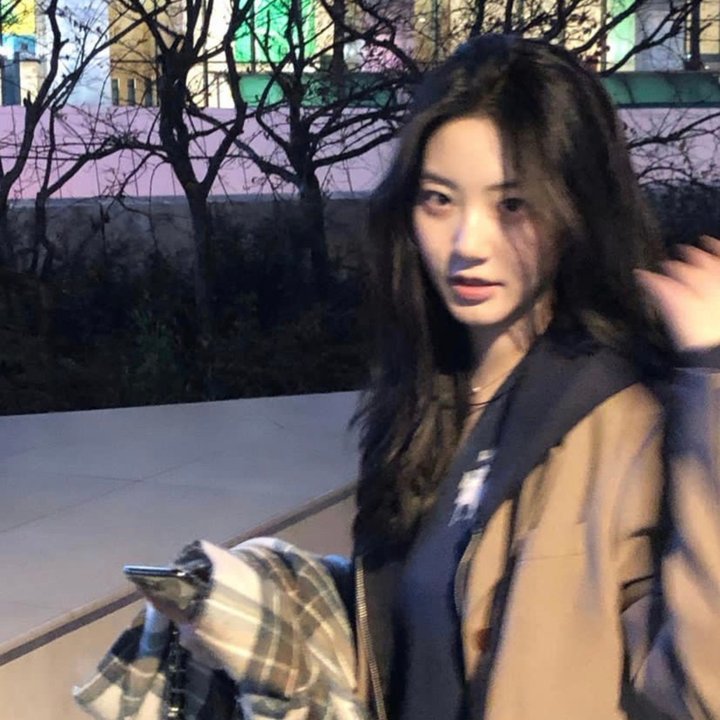毛丰美